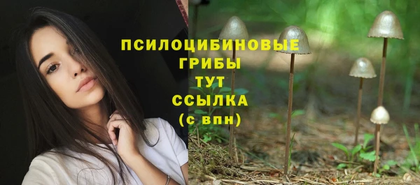 твердый Богданович