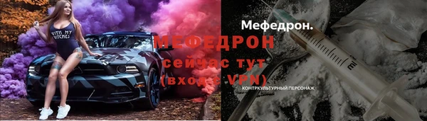 гидра Богородицк