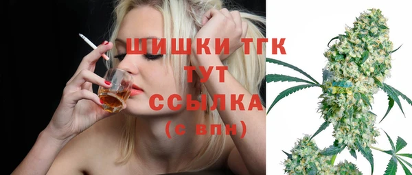 твердый Богданович