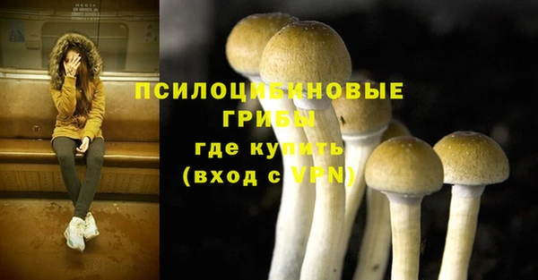 гидра Богородицк