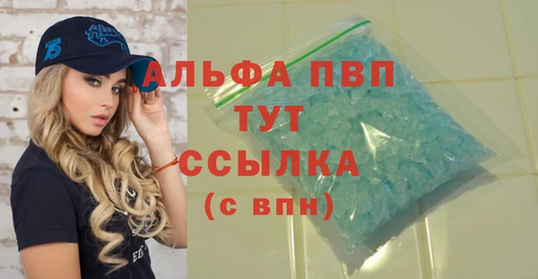 прущие грибы Беломорск