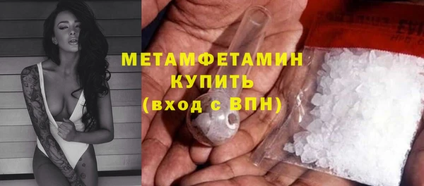 гидра Богородицк