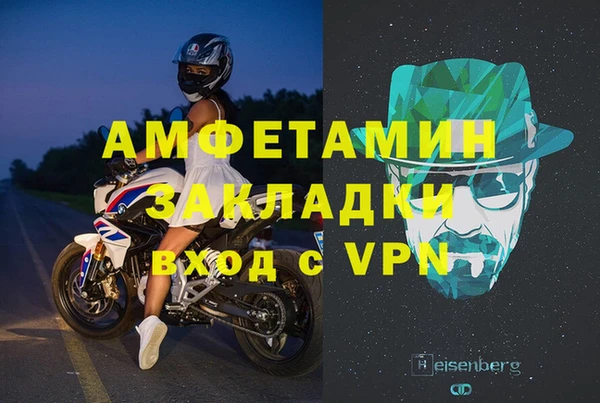 гидра Богородицк
