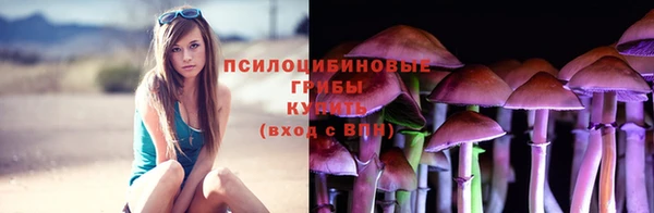 твердый Богданович