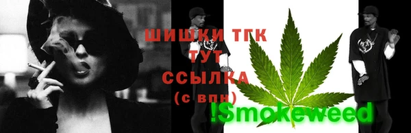 твердый Богданович