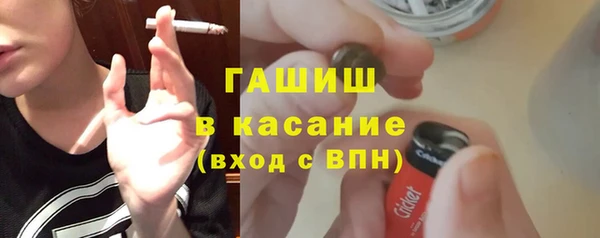гидра Богородицк
