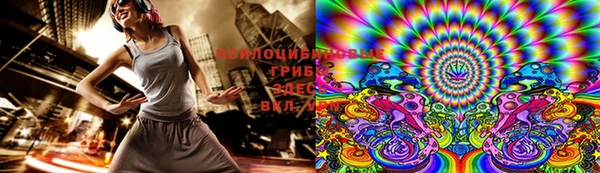 твердый Богданович
