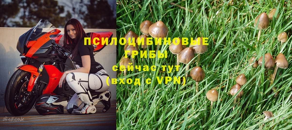 твердый Богданович