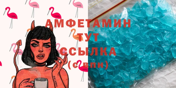 гидра Богородицк