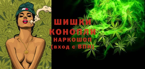 твердый Богданович