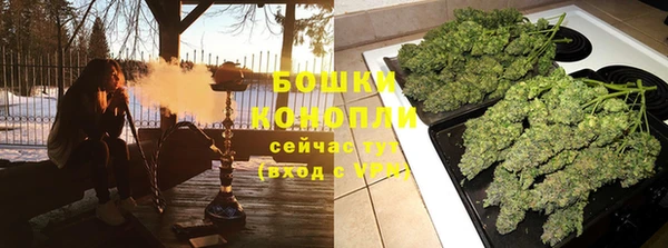 гидра Богородицк