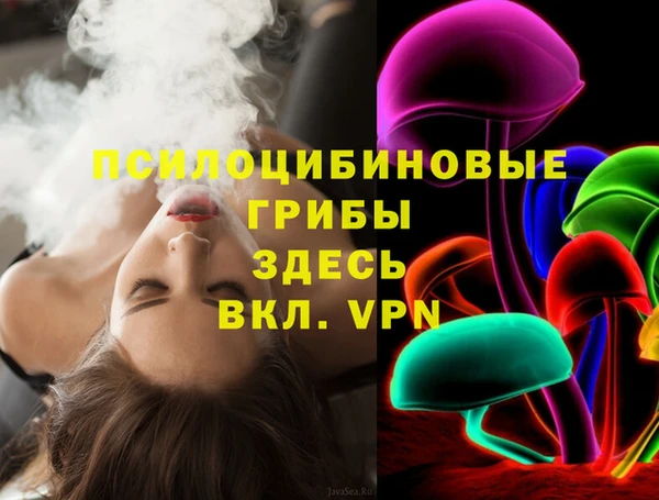 гидра Богородицк
