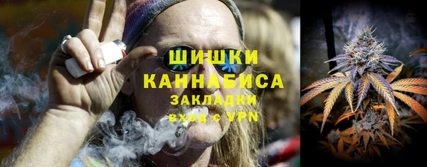 винт Галич