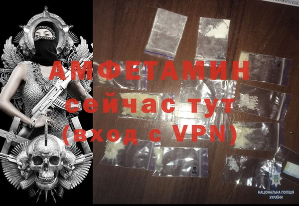 твердый Богданович
