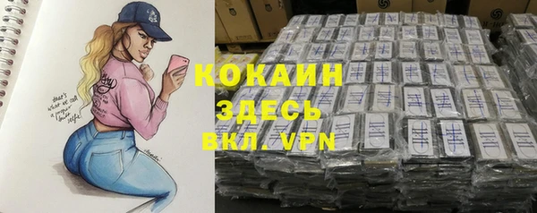гидра Богородицк