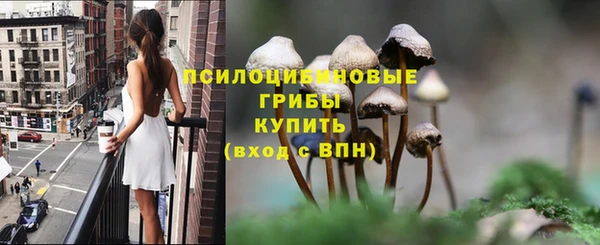 гидра Богородицк