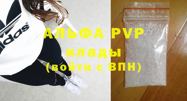 твердый Богданович